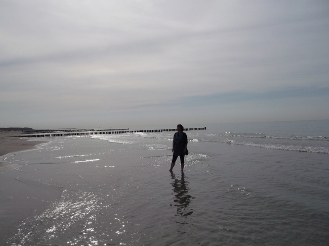 Strandlandschaft